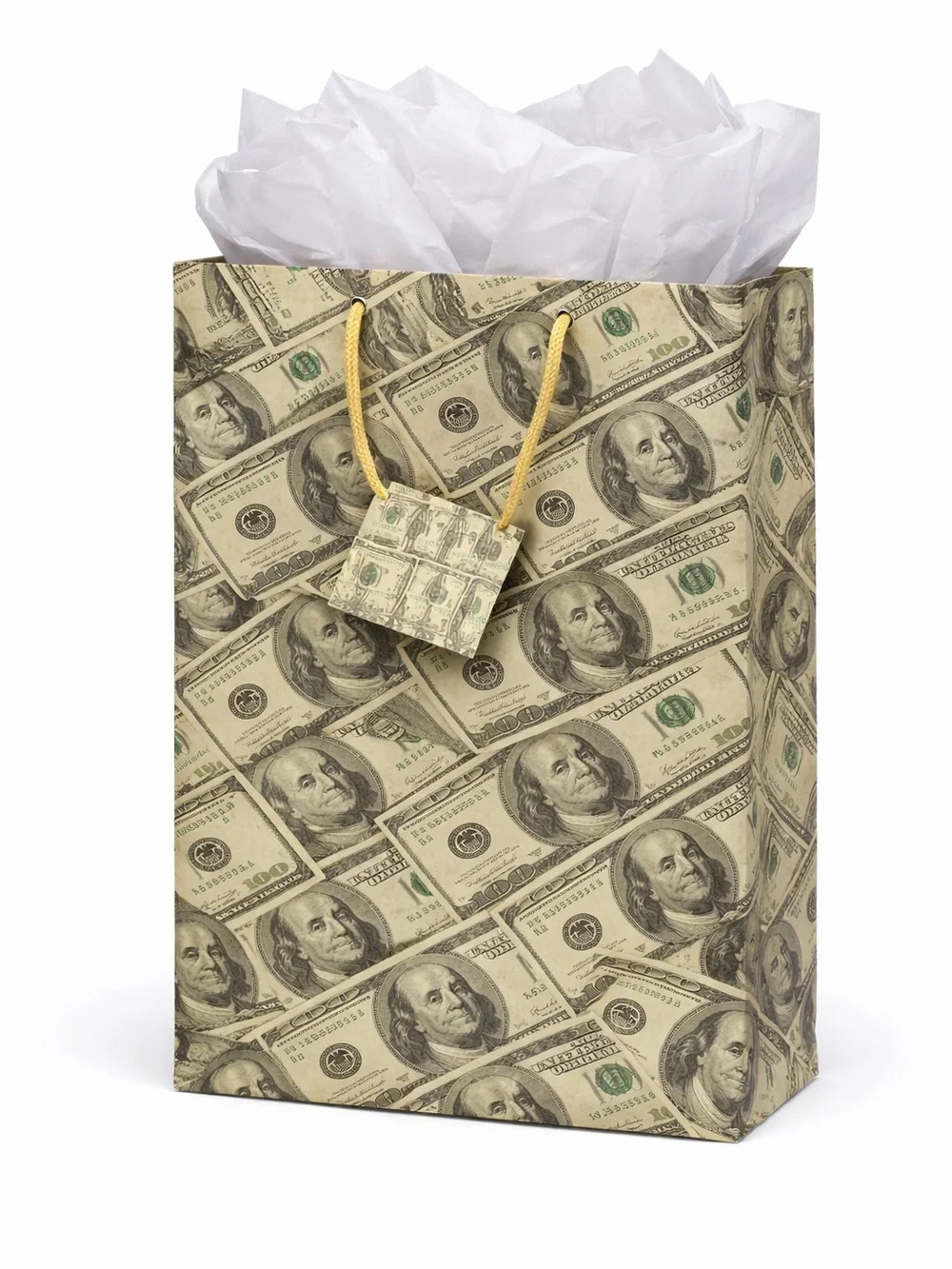Novelty Money Print Gift Bag with Tissue